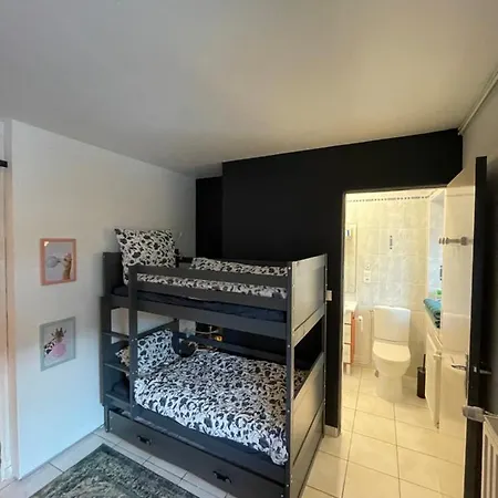 Appartement La Comète - Dore 4 Pers Le Mont-Dore