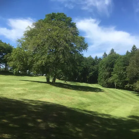 Appartement La Comète - Dore 4 Pers